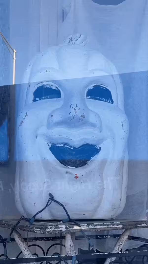 55