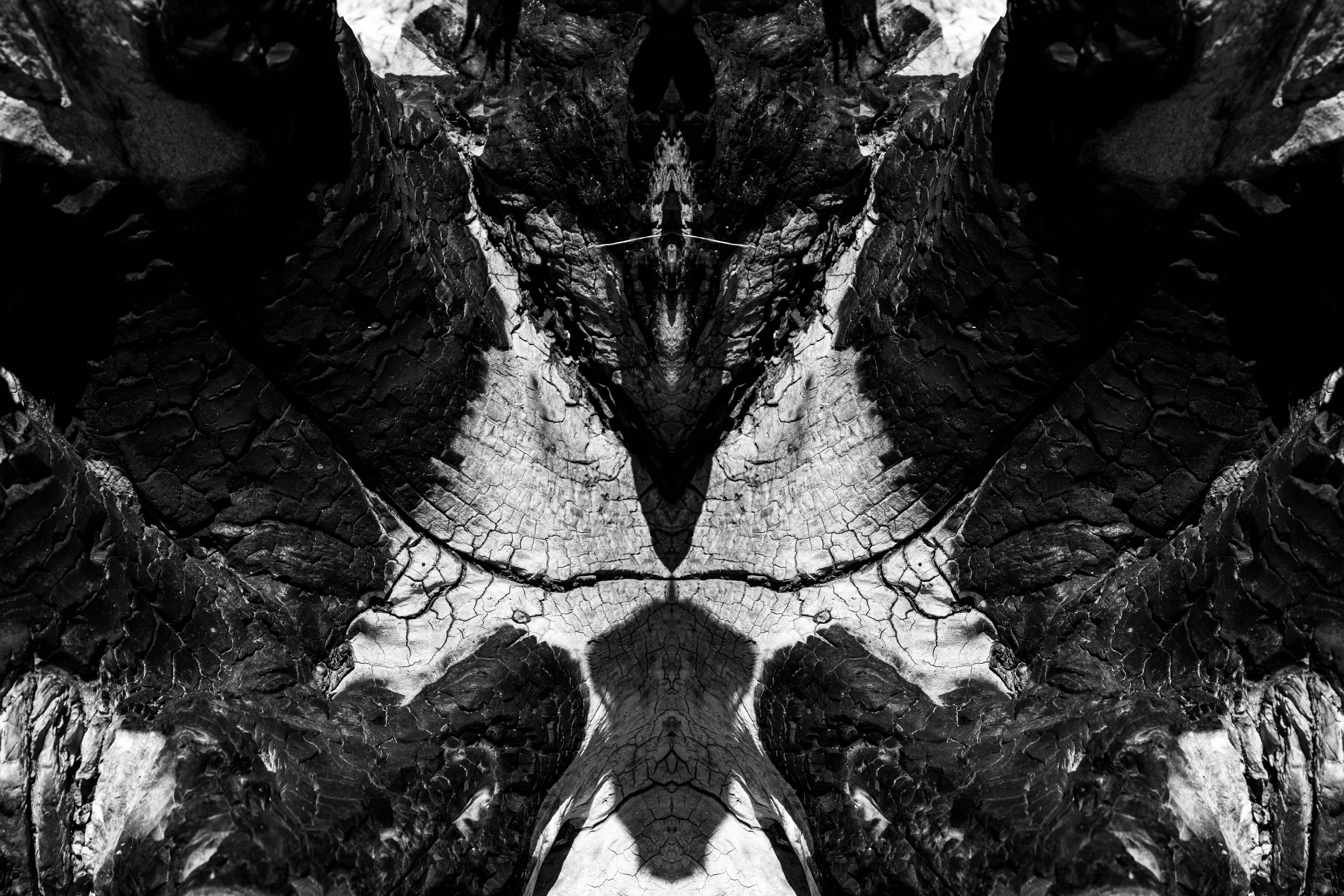 Rorschach #208
