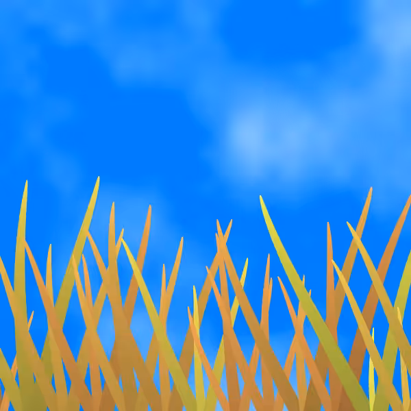 Fields of Ukraine #29