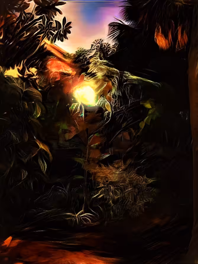 In Darkness