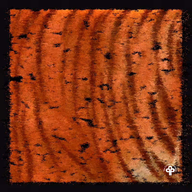 (re)generative tigers #25