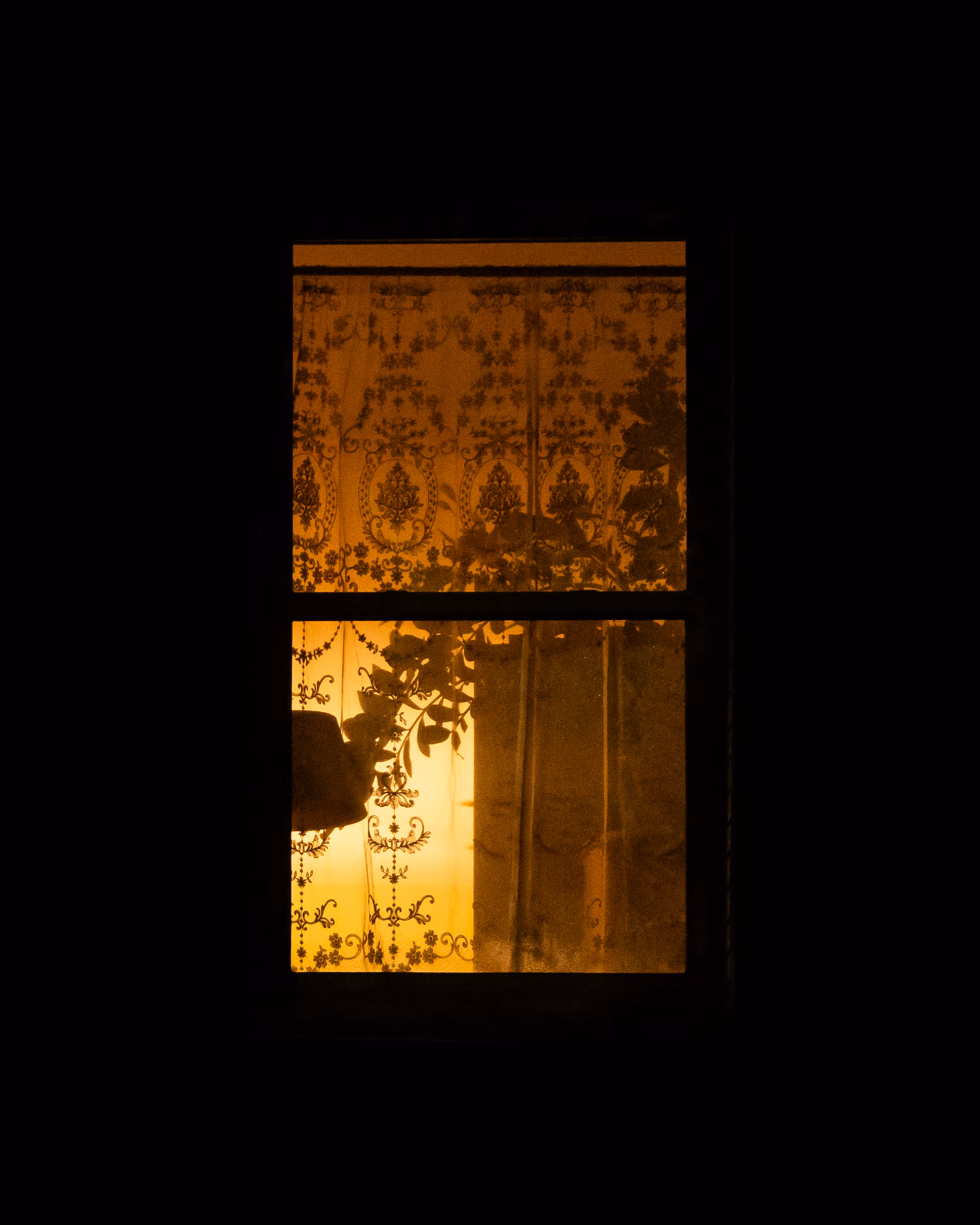WINDOWS // NYC: WINDOW 234