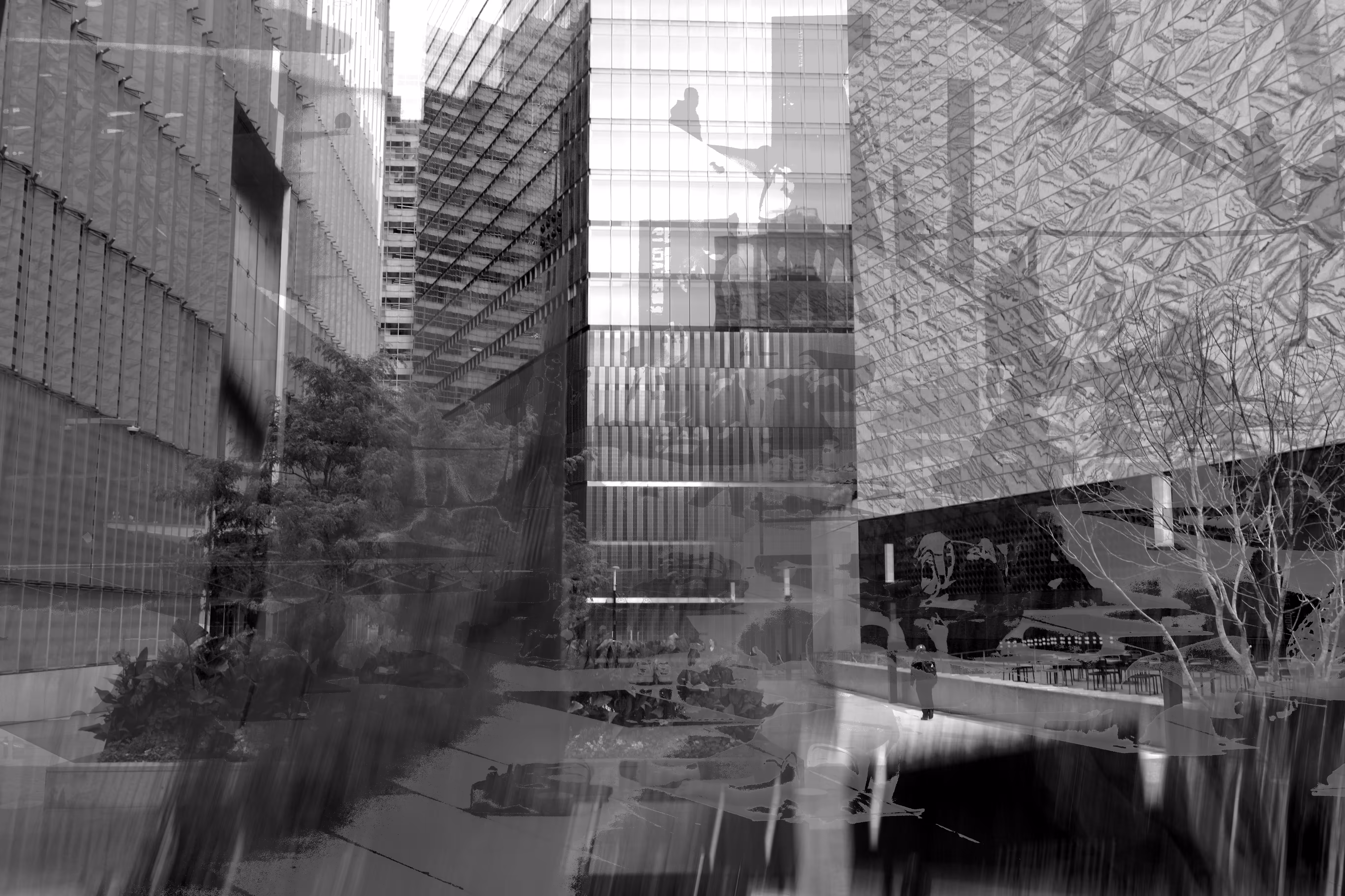 Observation 21