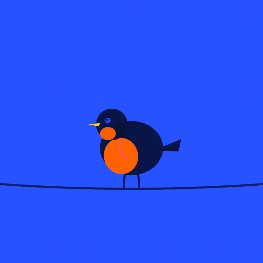 Project Robin #309
