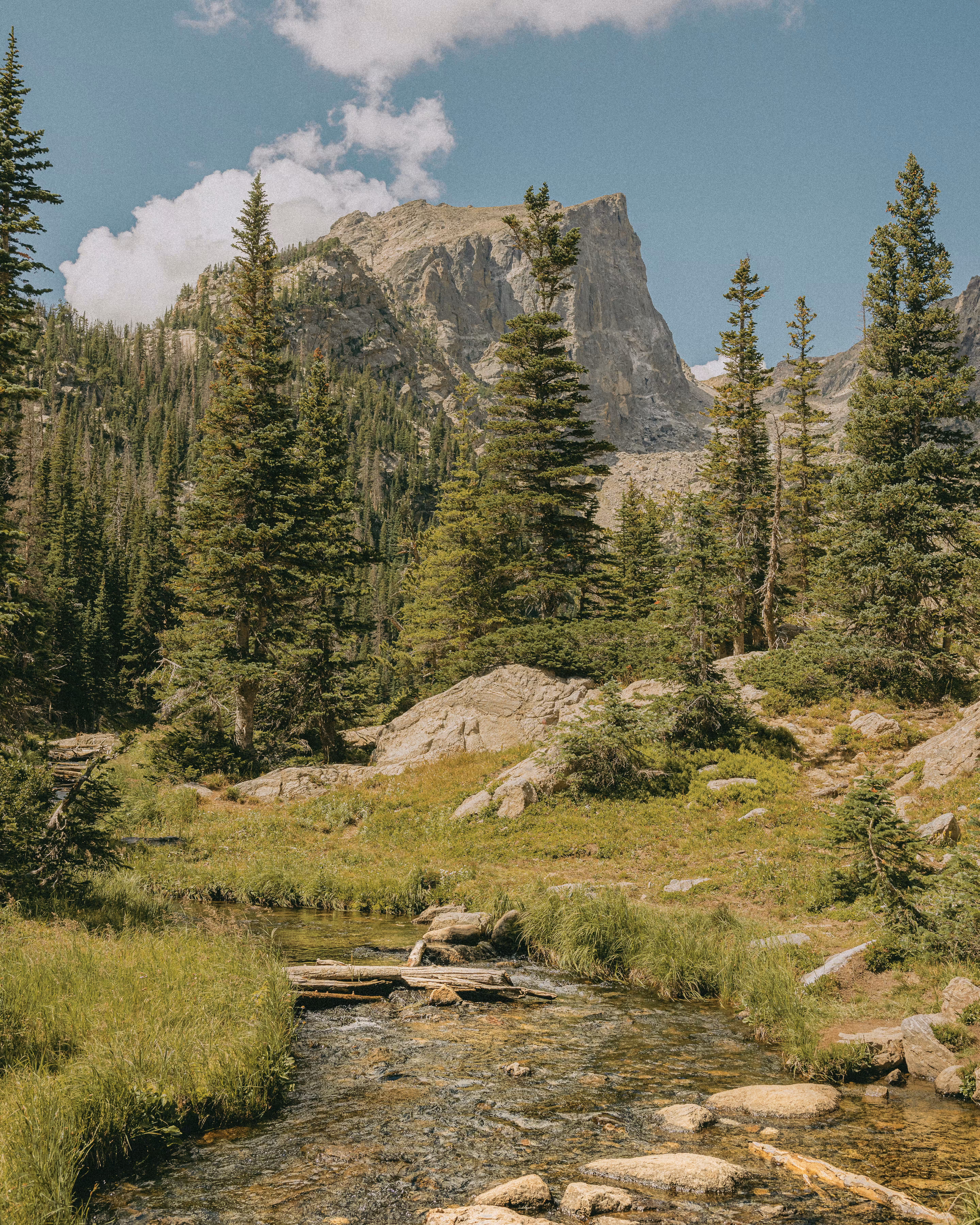 Rocky Mountain Bliss