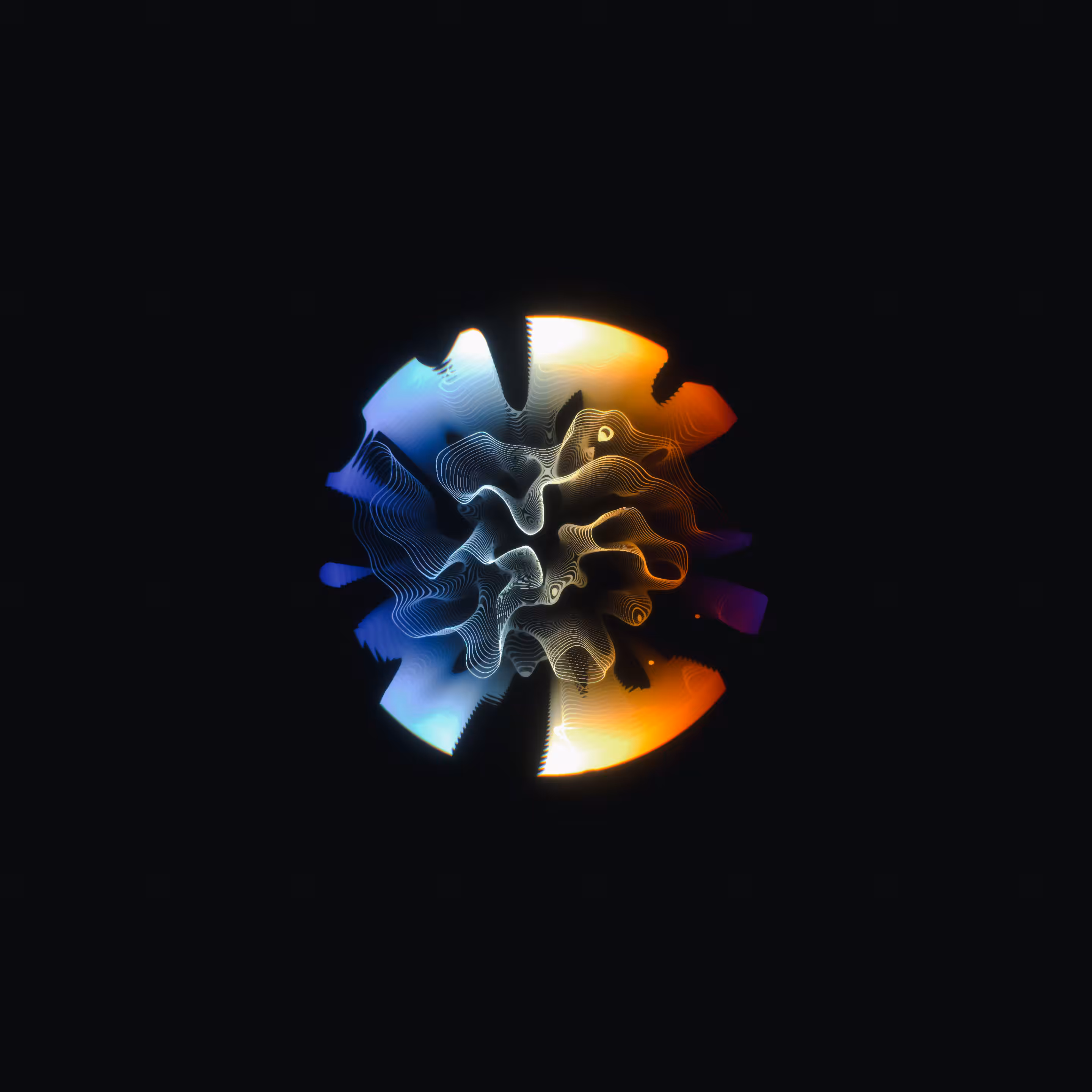 petri 001