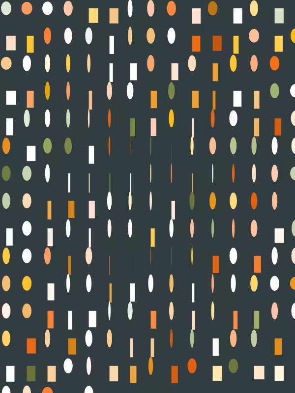 Retroveau #244