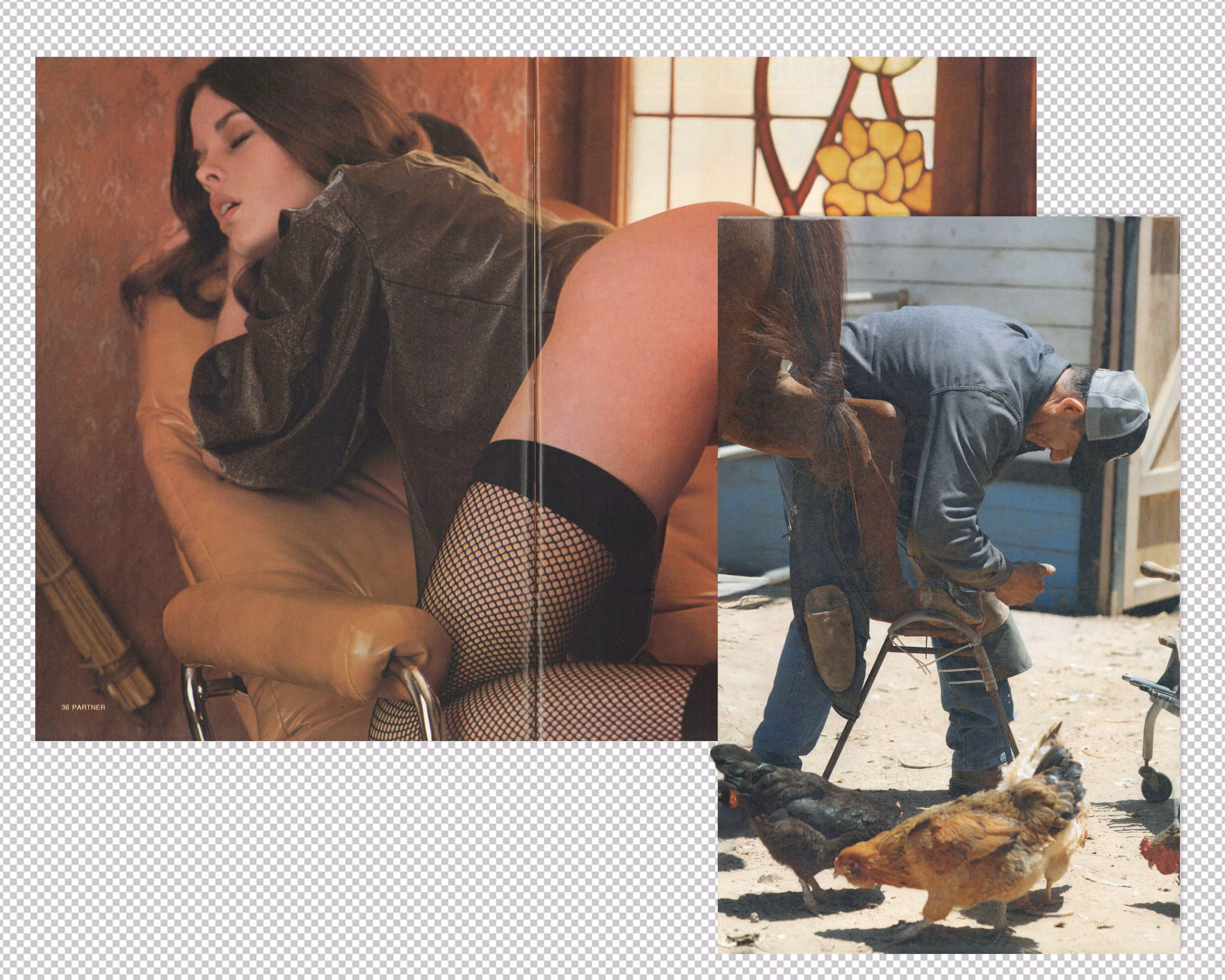 The farrier