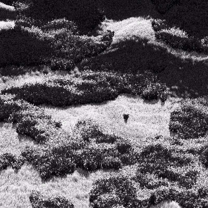California Hills in Late Sun #138