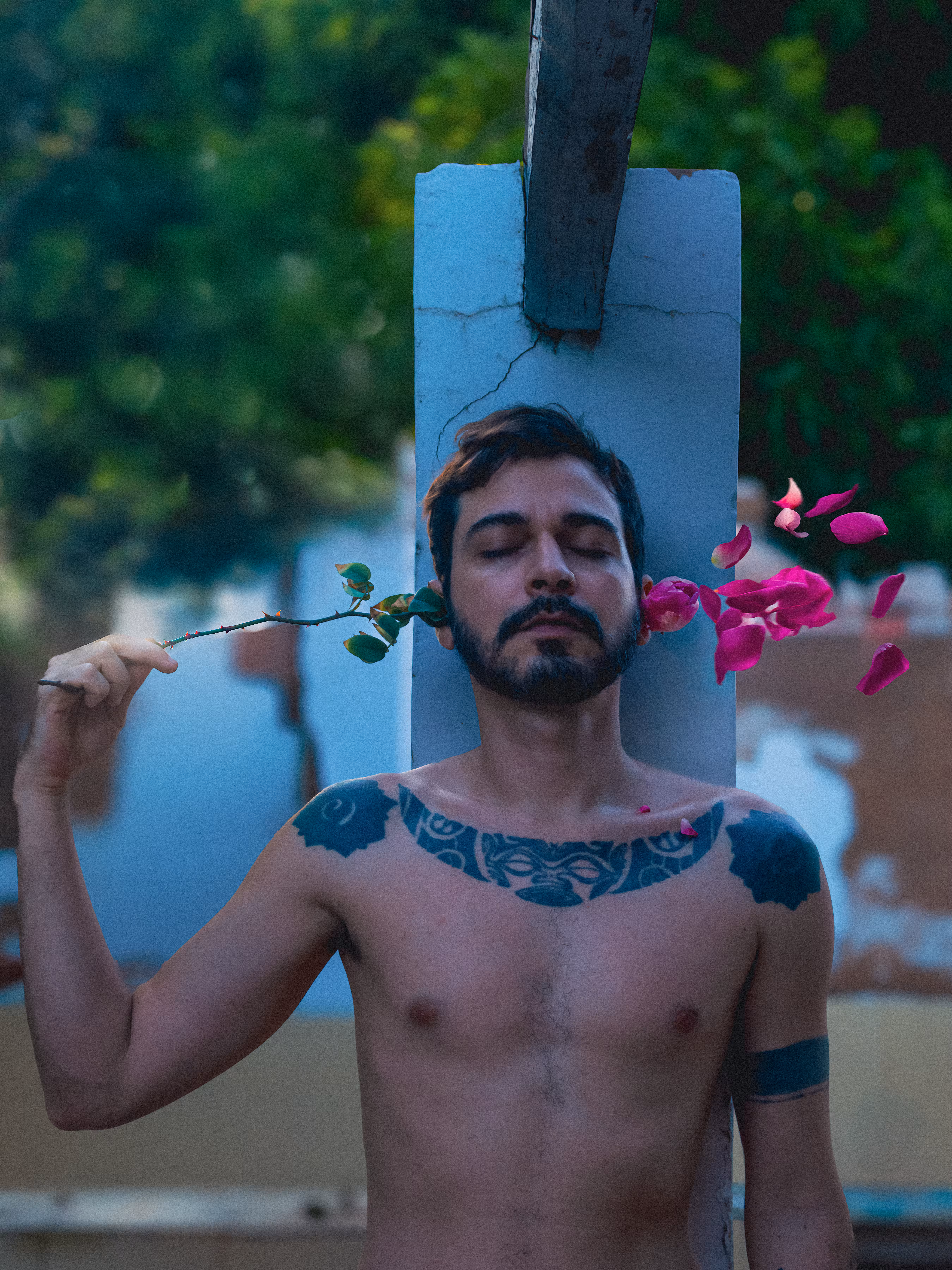 The Weight of Petals