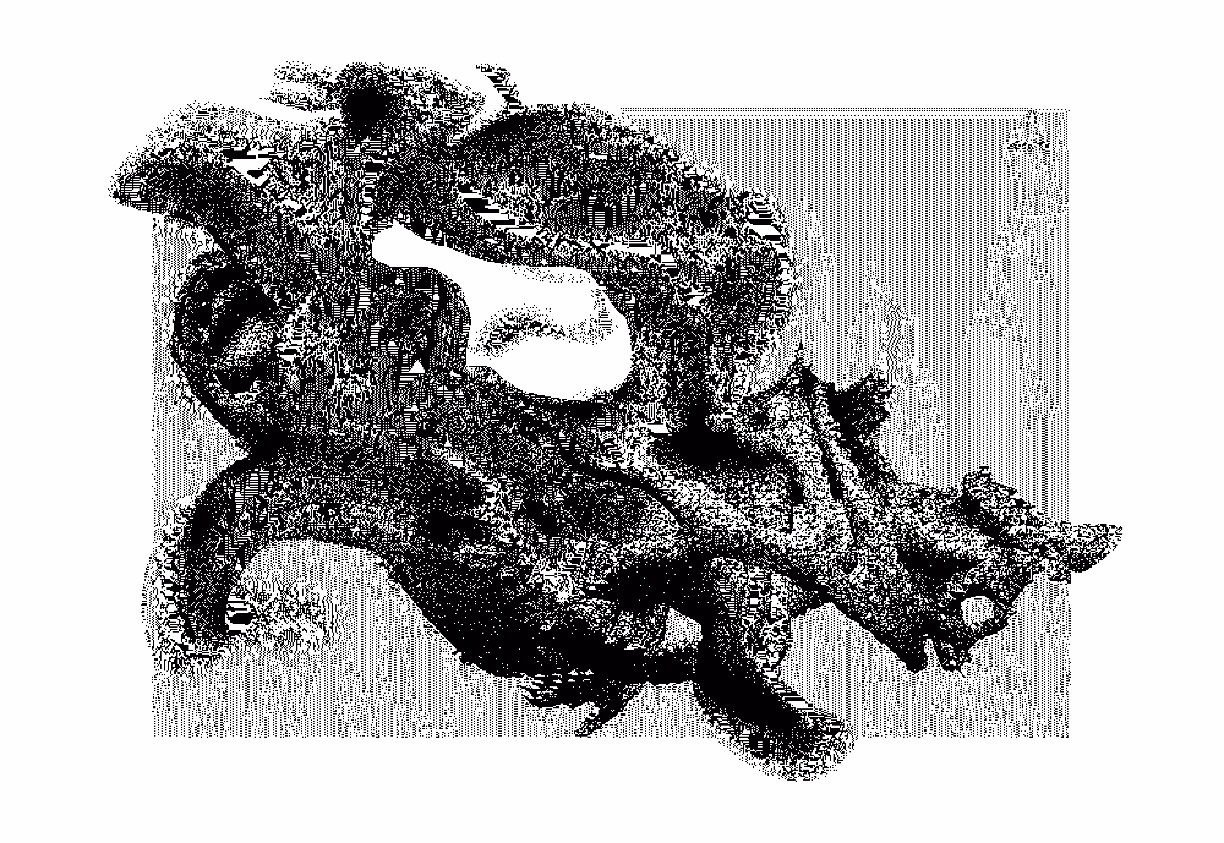 cetacea #2