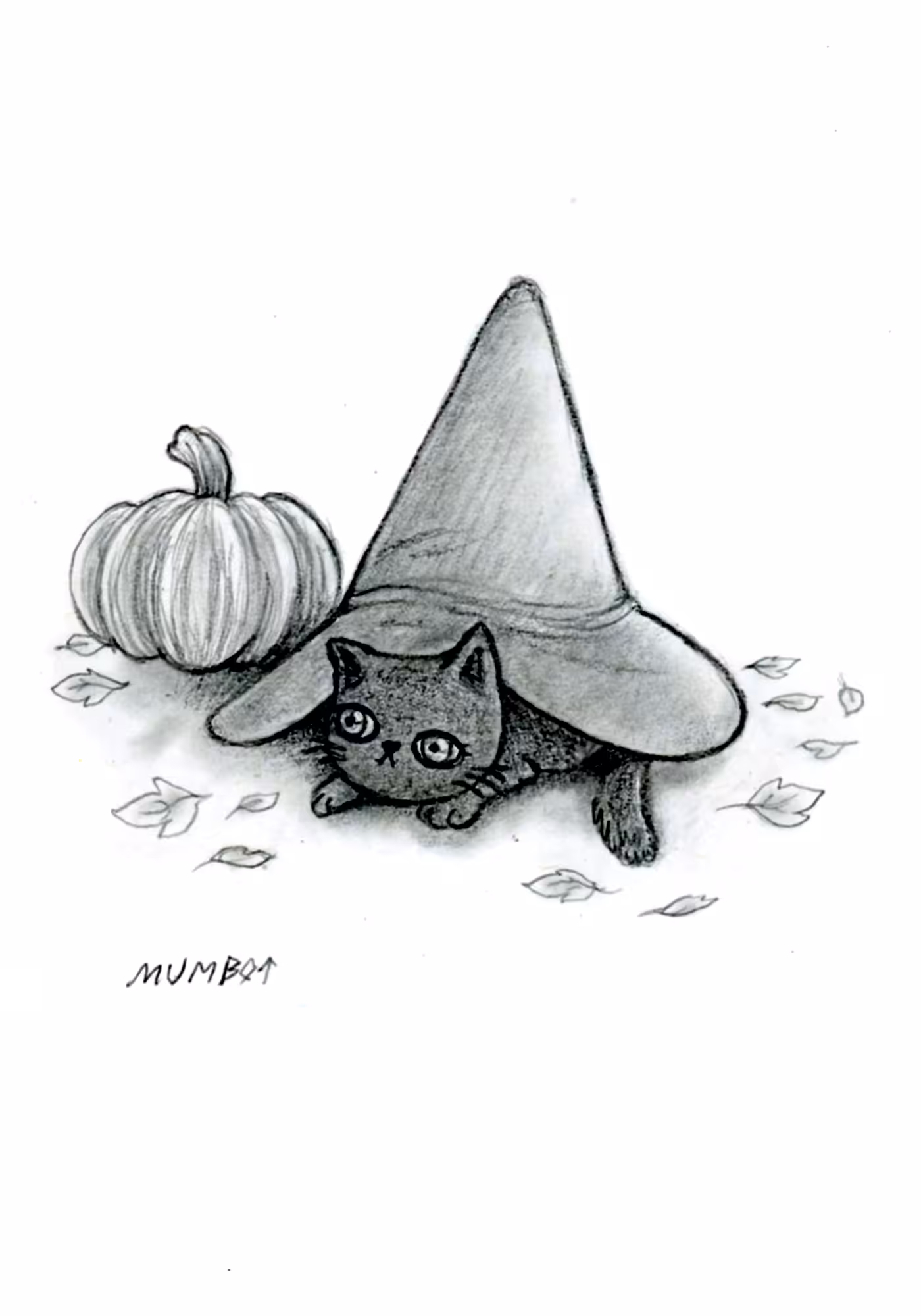 Cocoa Bean the Cat