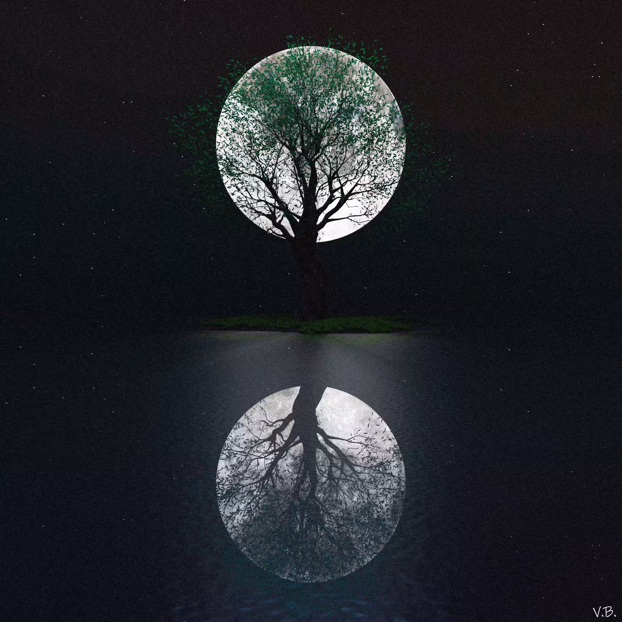 Moonlight