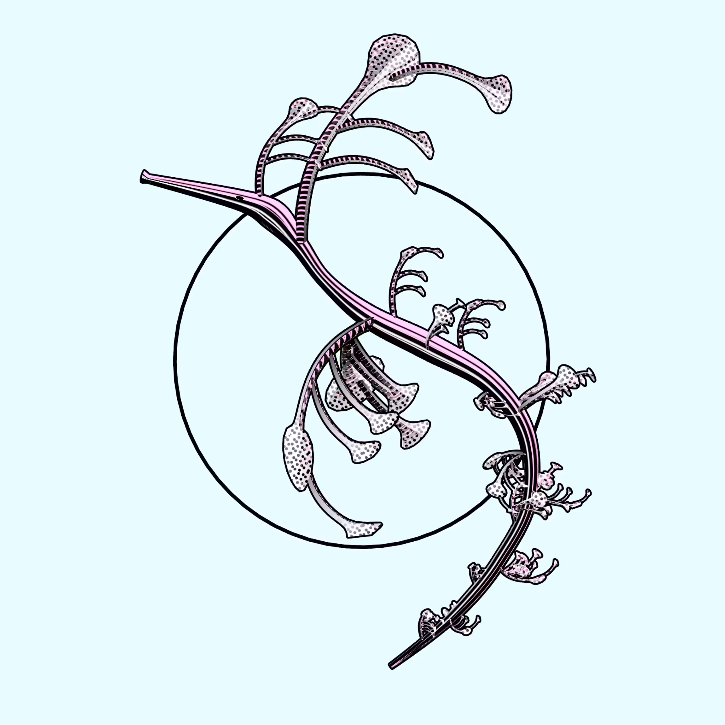 Seadragons #24