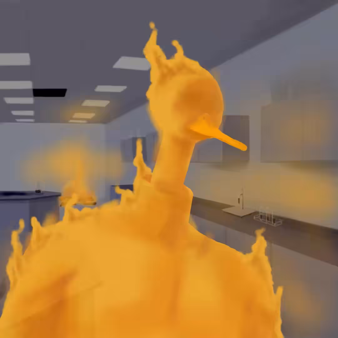 Duck on fire