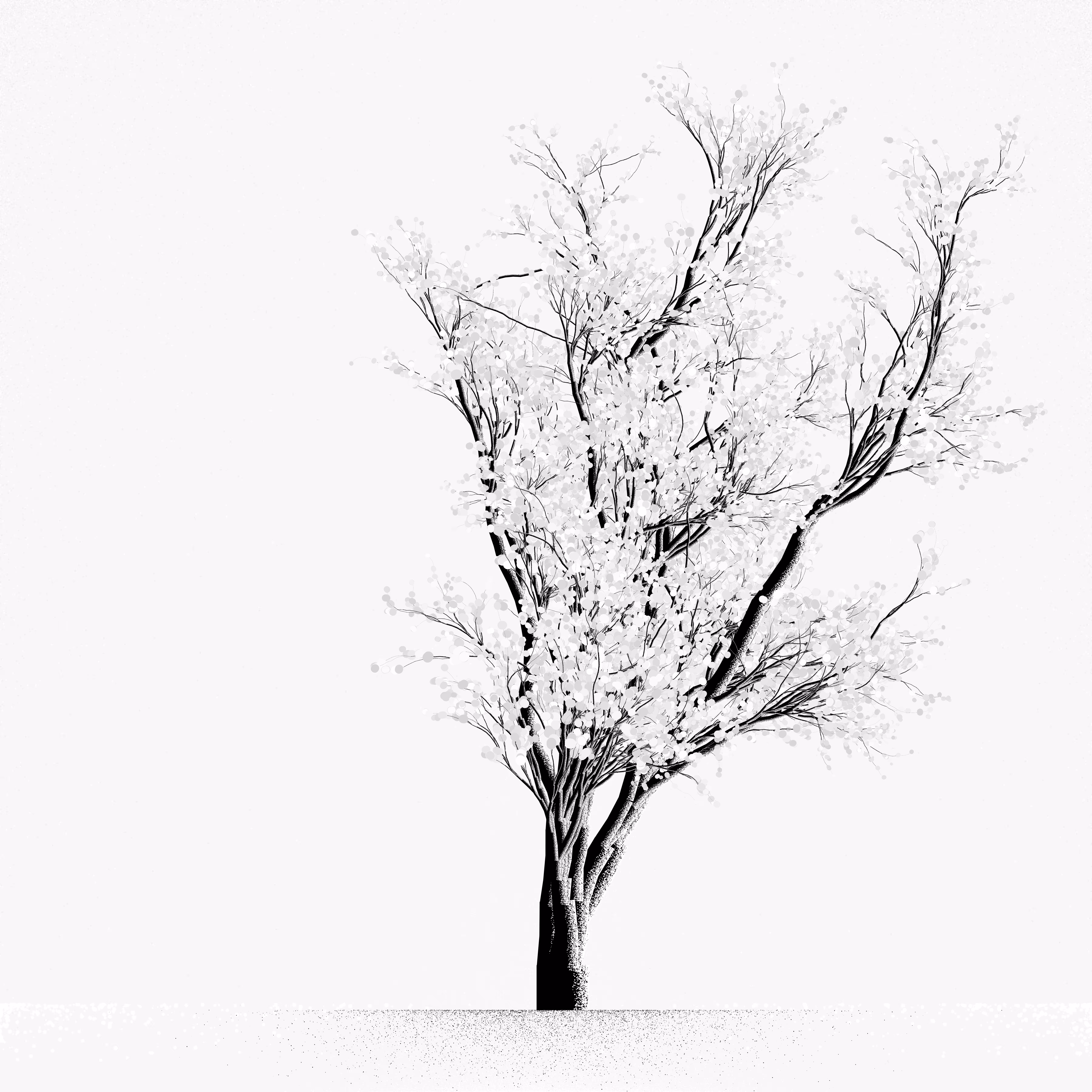 Snow Tree #25
