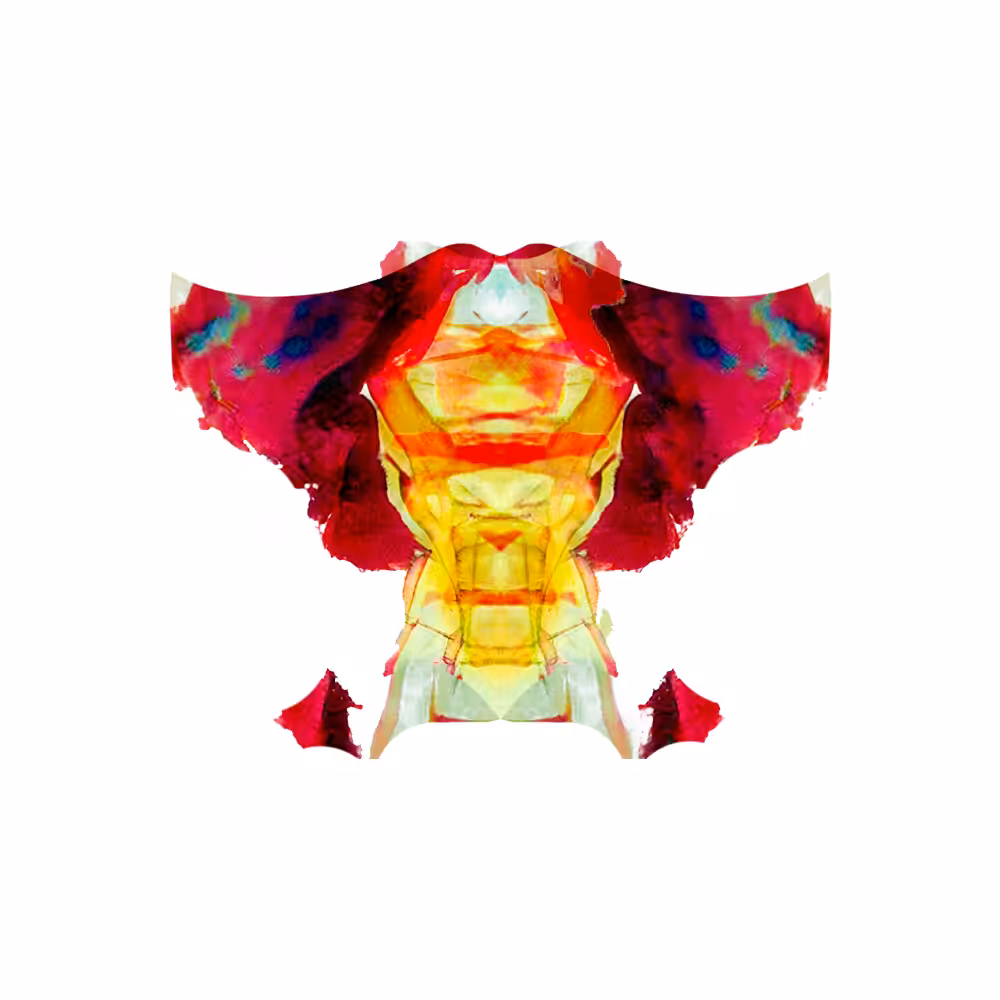 Insignia