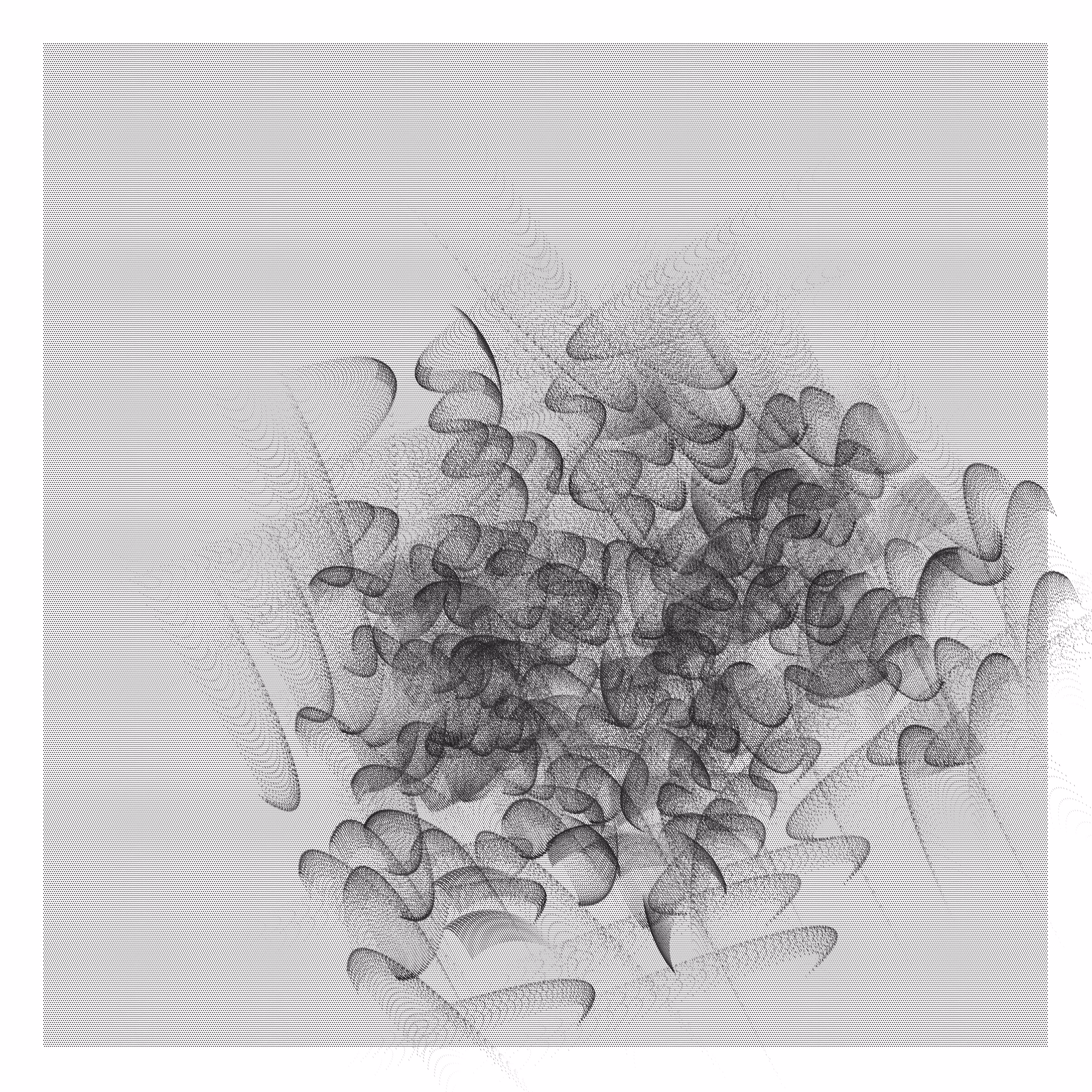 p5 Mesh Painting 05 01 25 G403