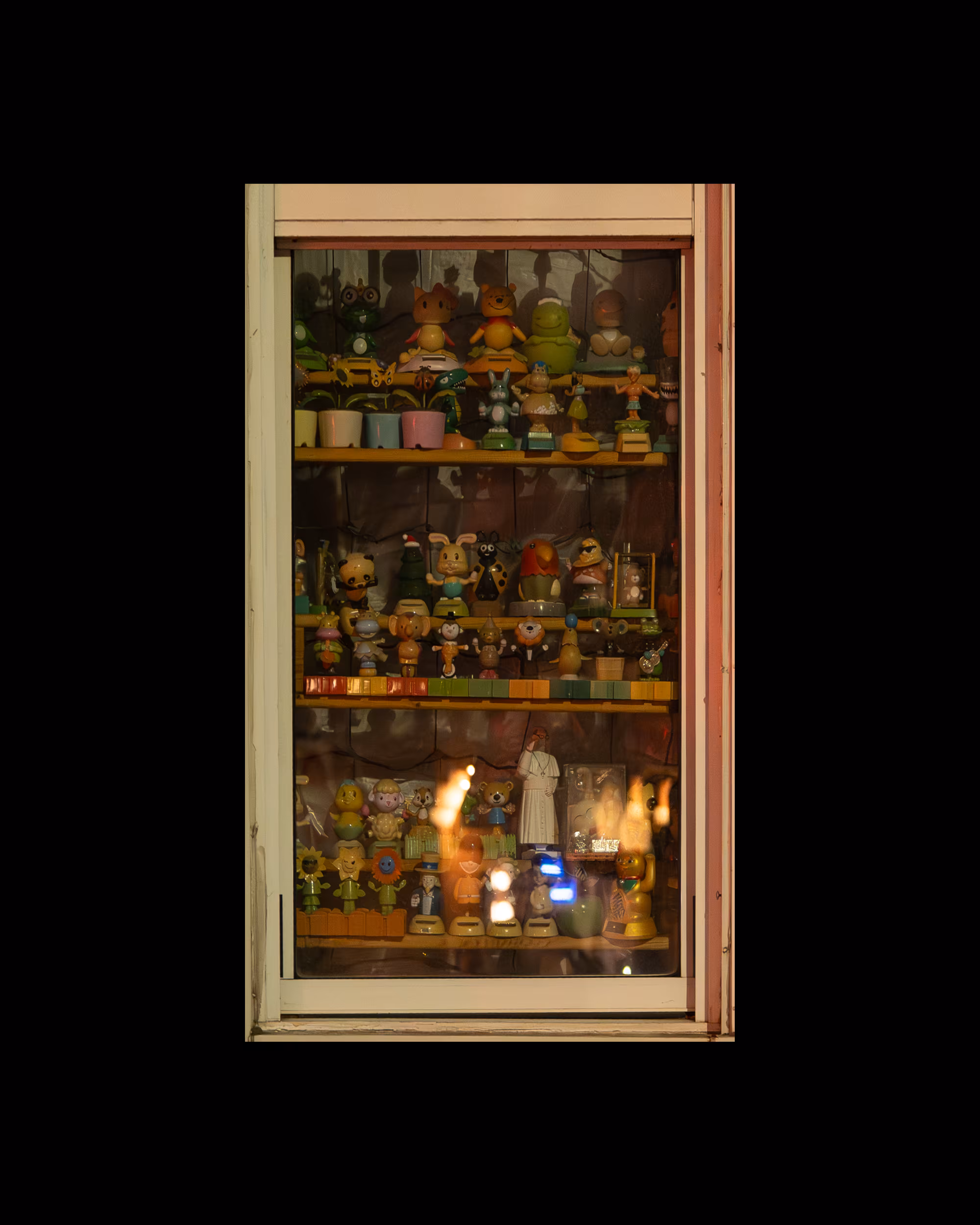 WINDOW 232