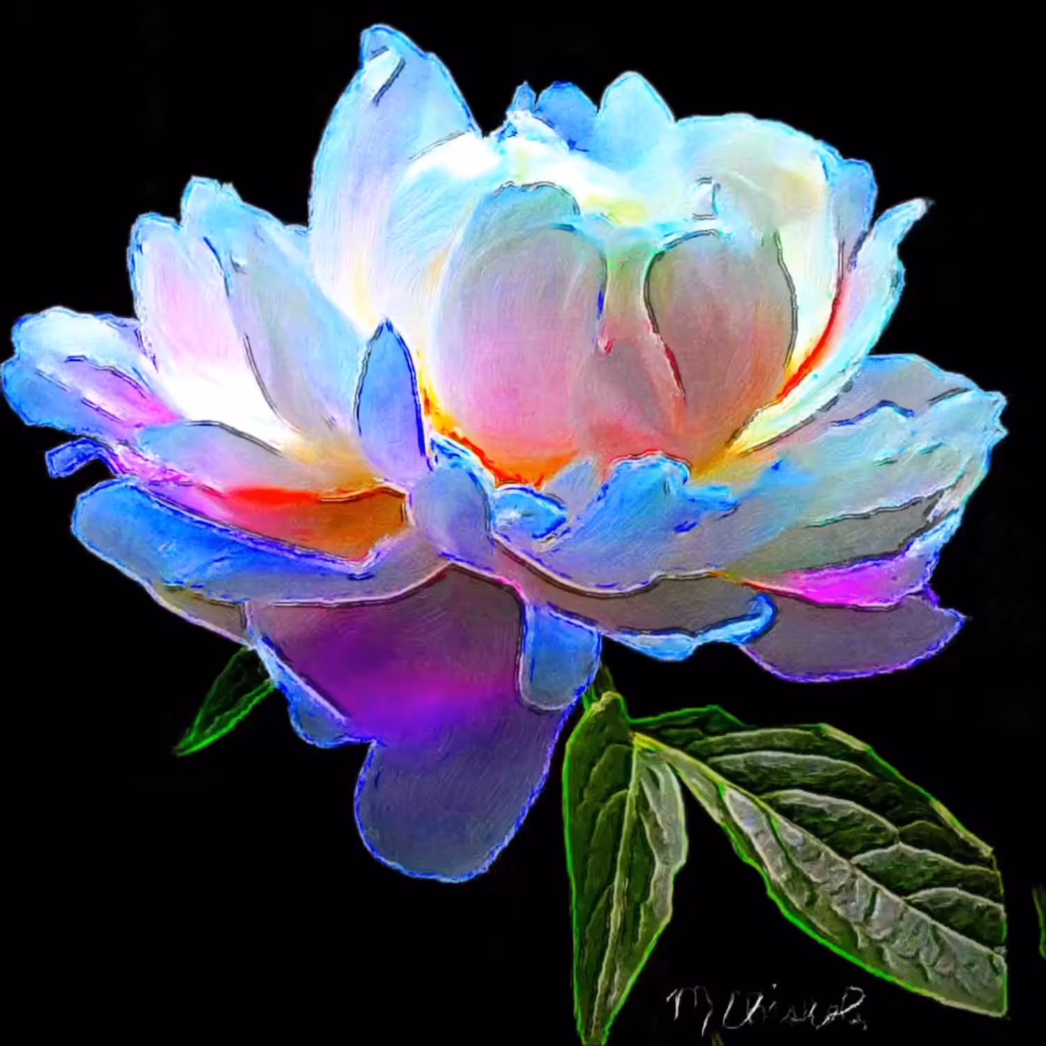 Illuminated Peony 1/1