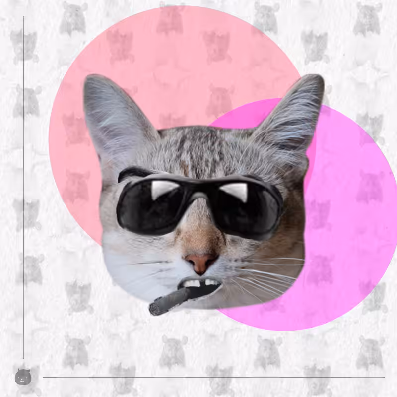 Kittenstein #22