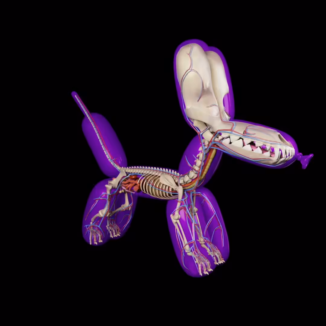 Balloon Dog Anatomy (Purple)