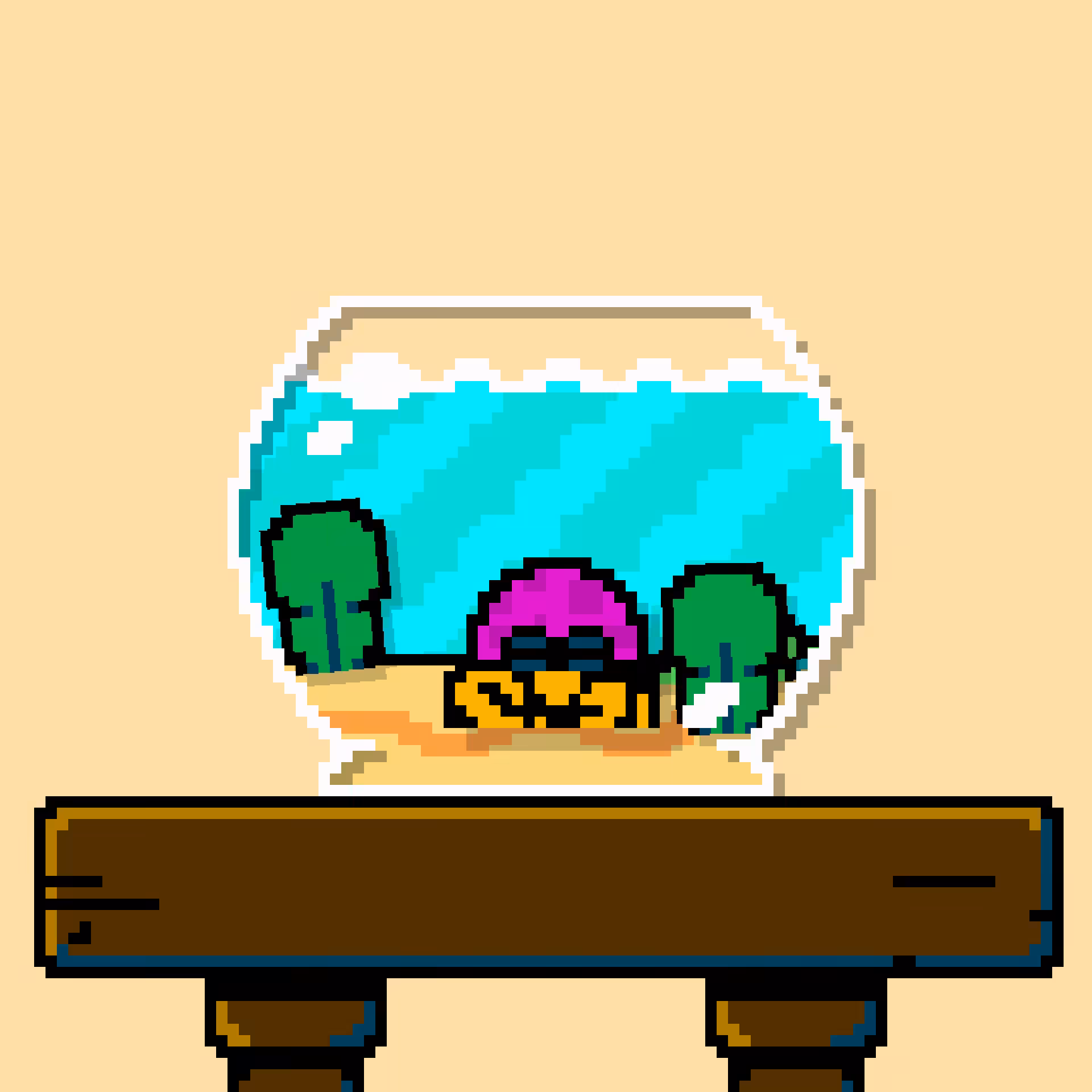 hermit crab #207