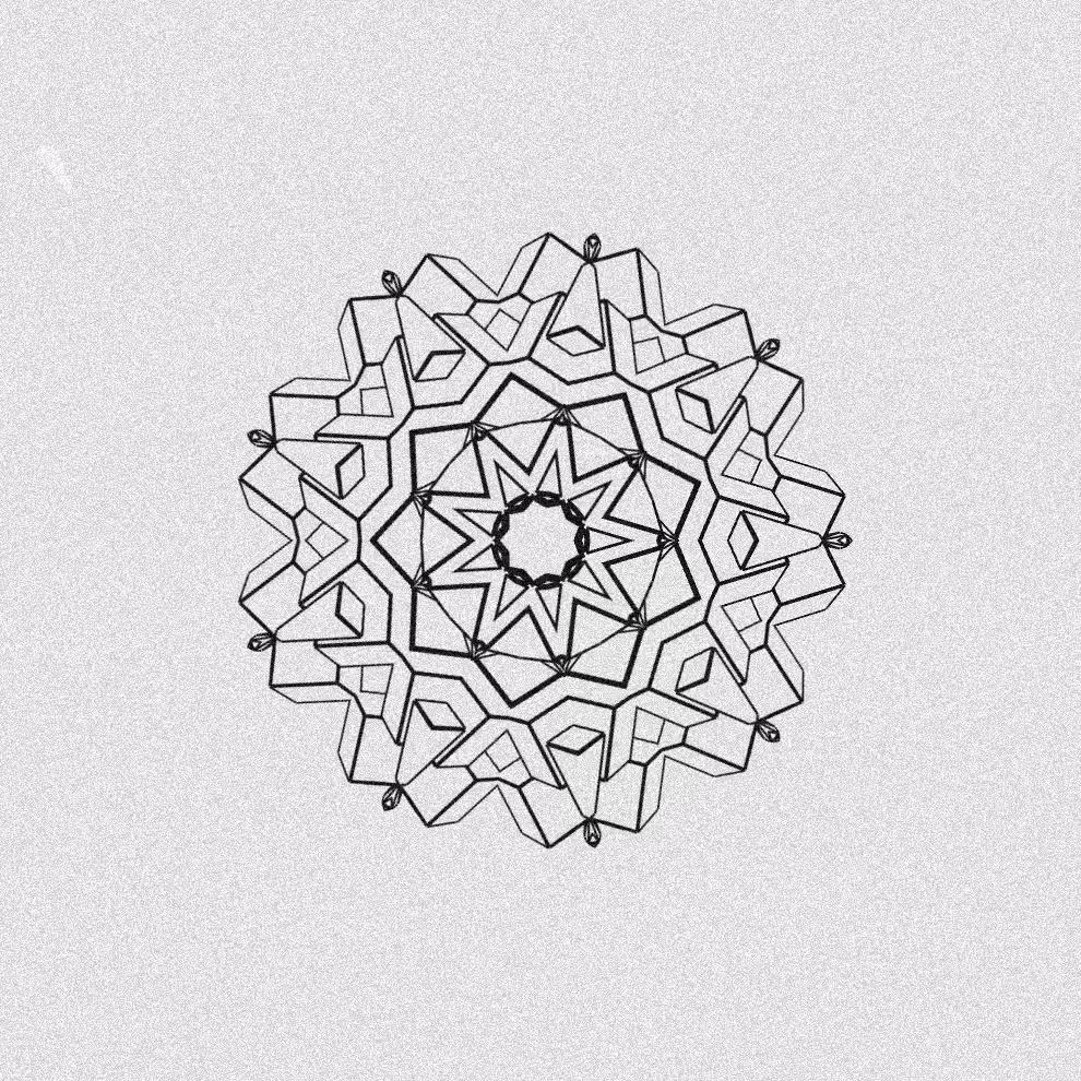 Monochrome Kaleido #317