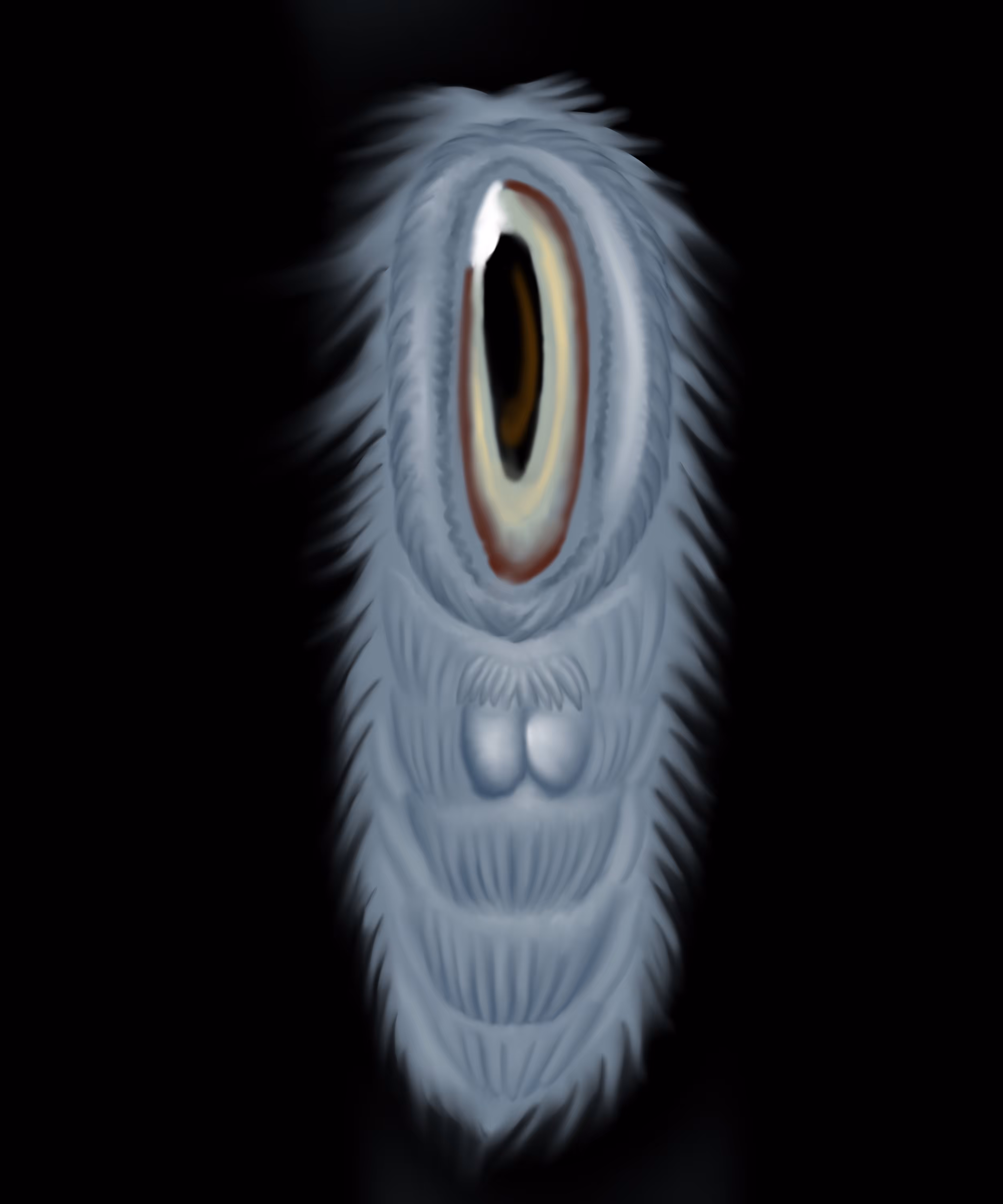 pui#003