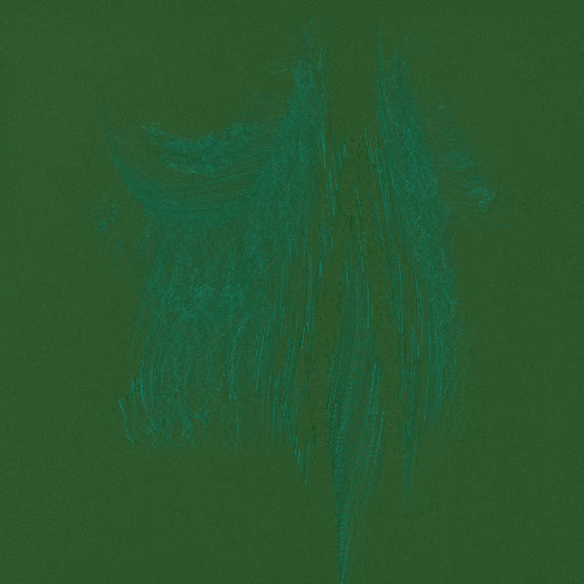 ANOMALIE #21