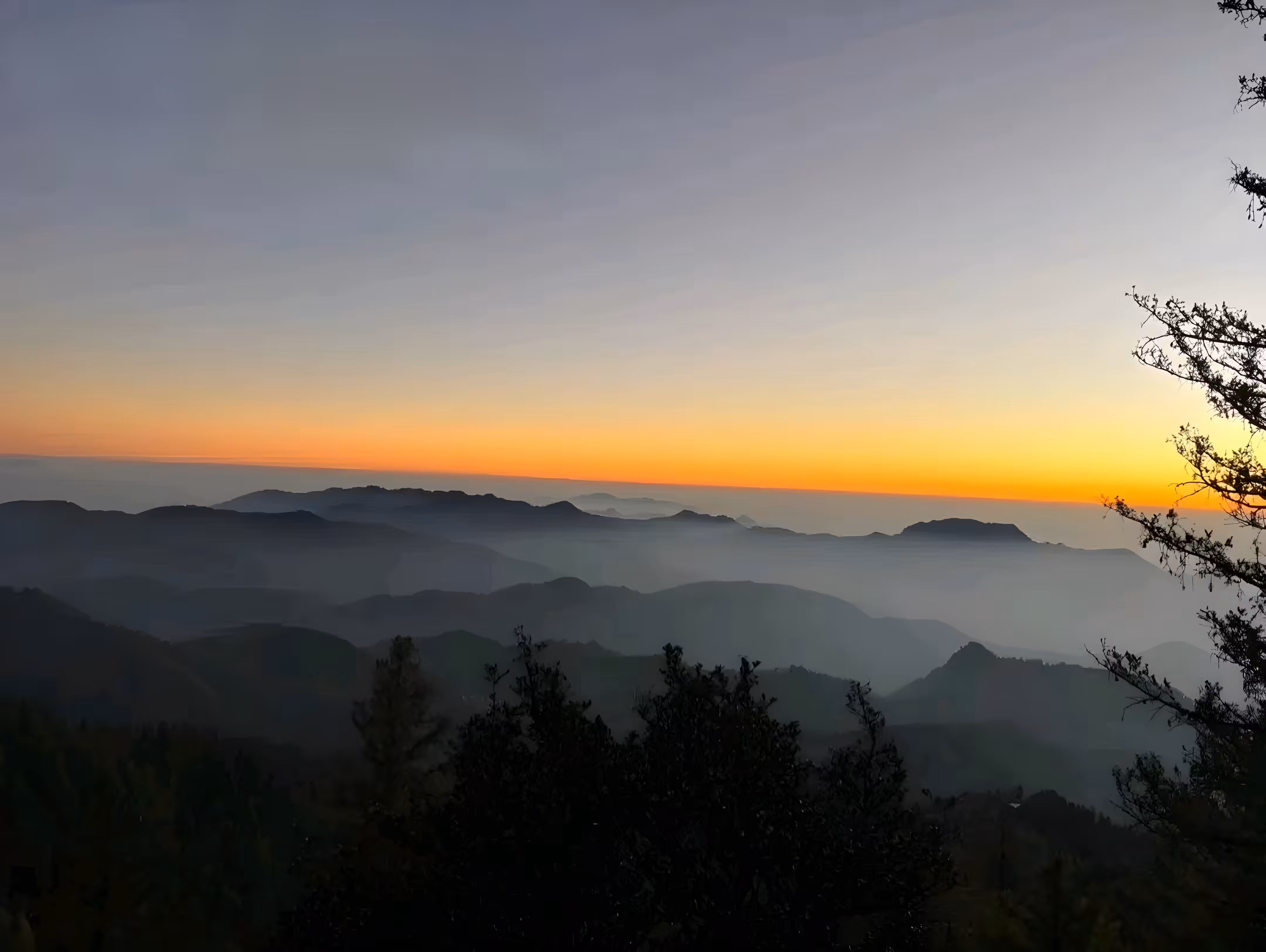 Between Night and First Light