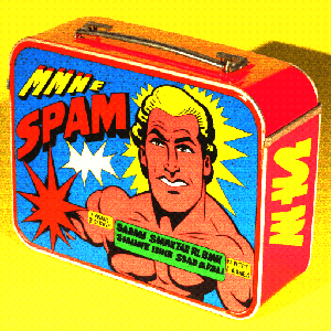 SPAM CAN