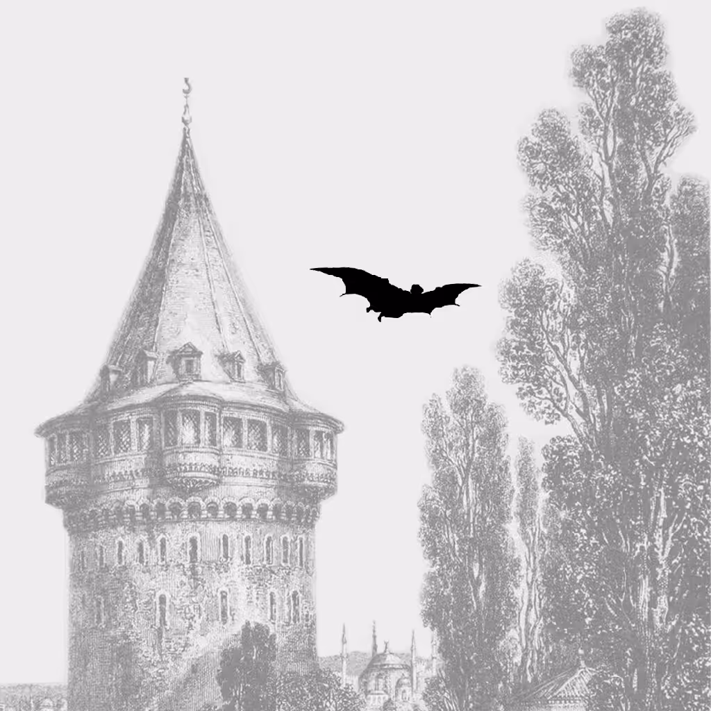 THE SILHOUETTE: Galata Tower_Silhouette #9
