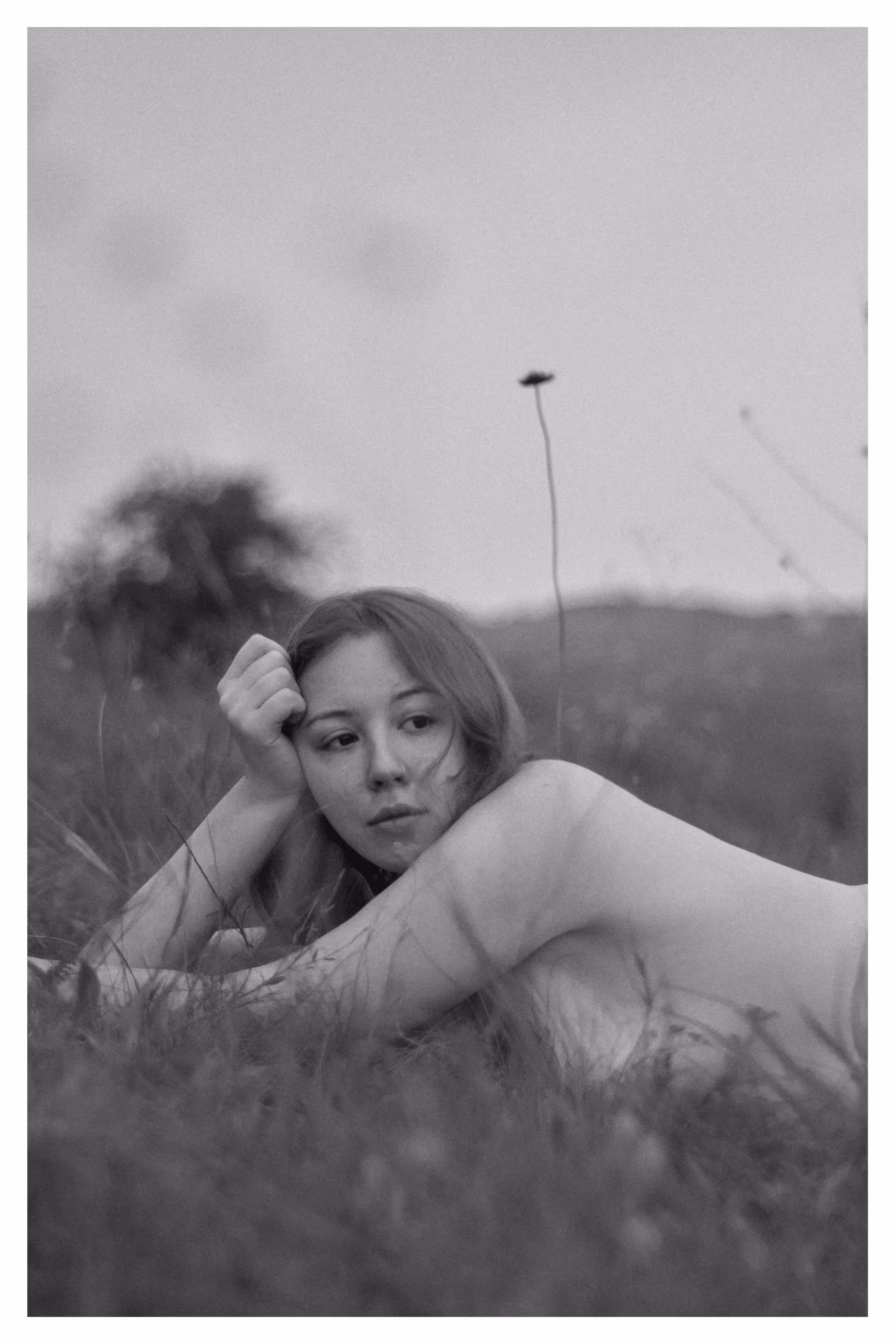 quiet in the wild