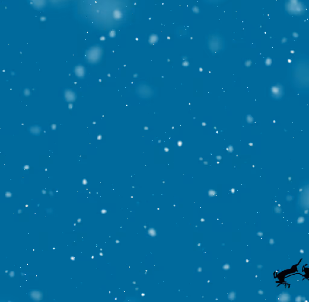 Merry Christmas 2021 #3