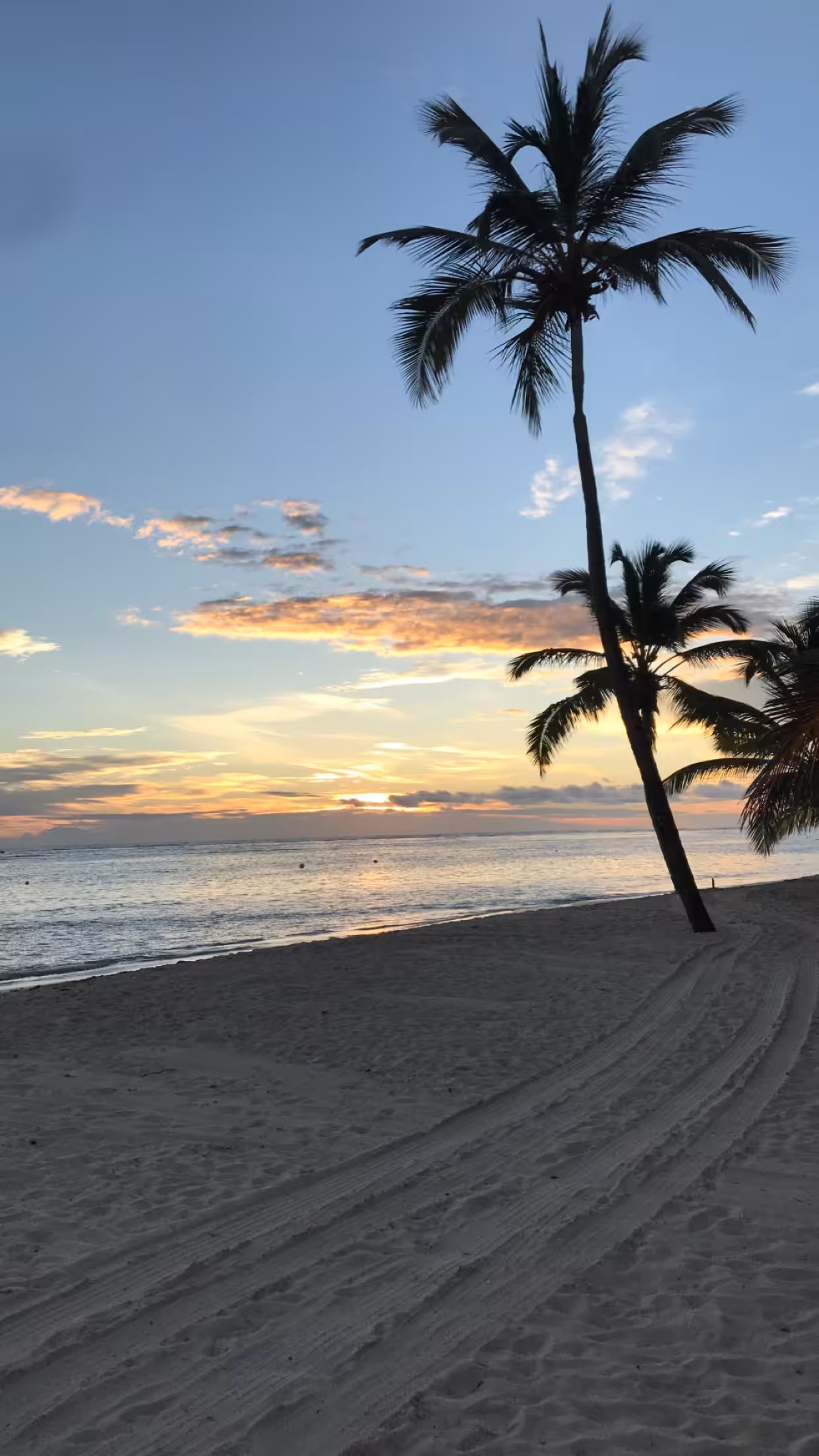 Punts Cana beach