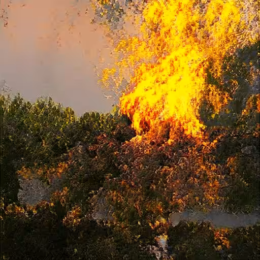Forest of Flames