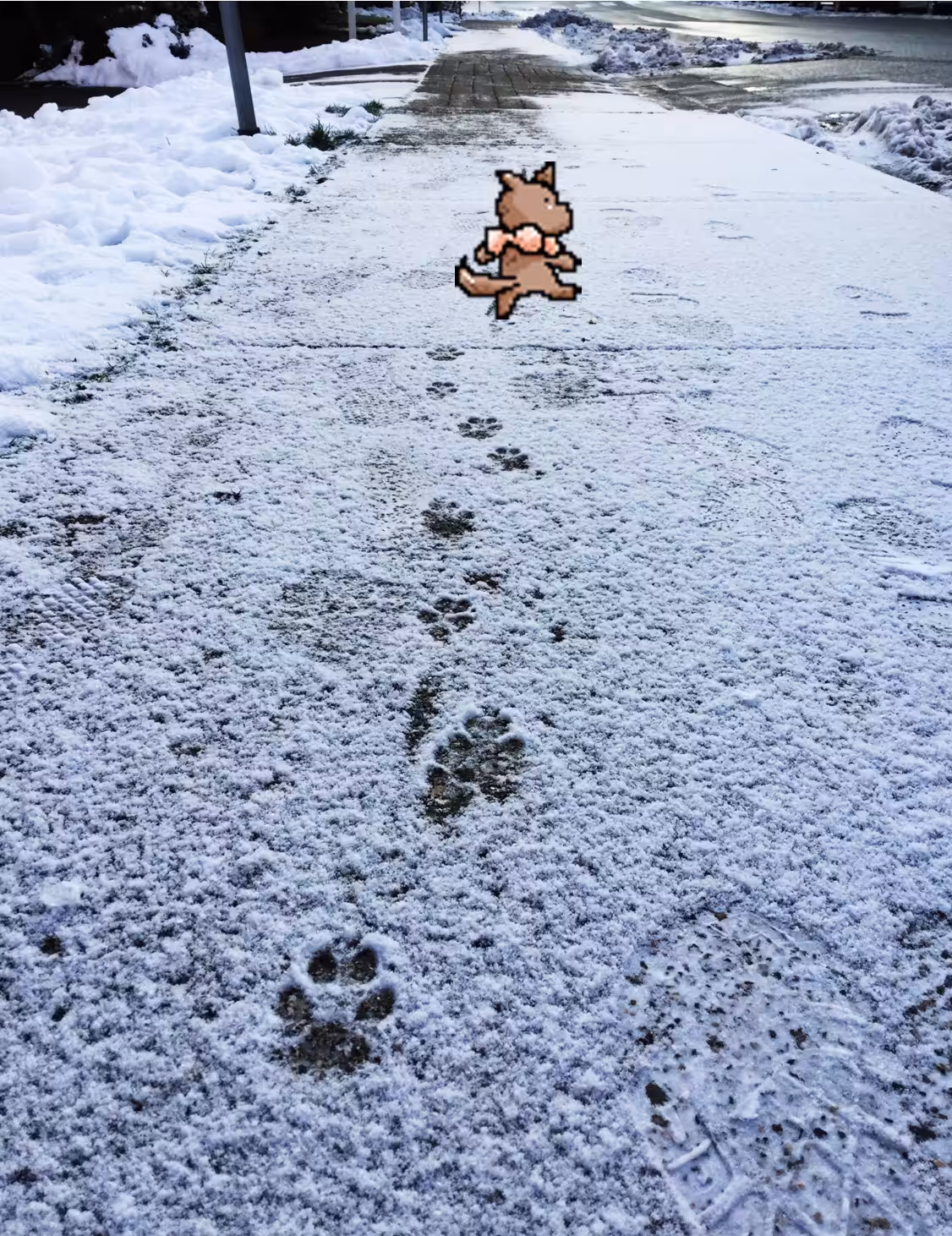 Walking after snow
