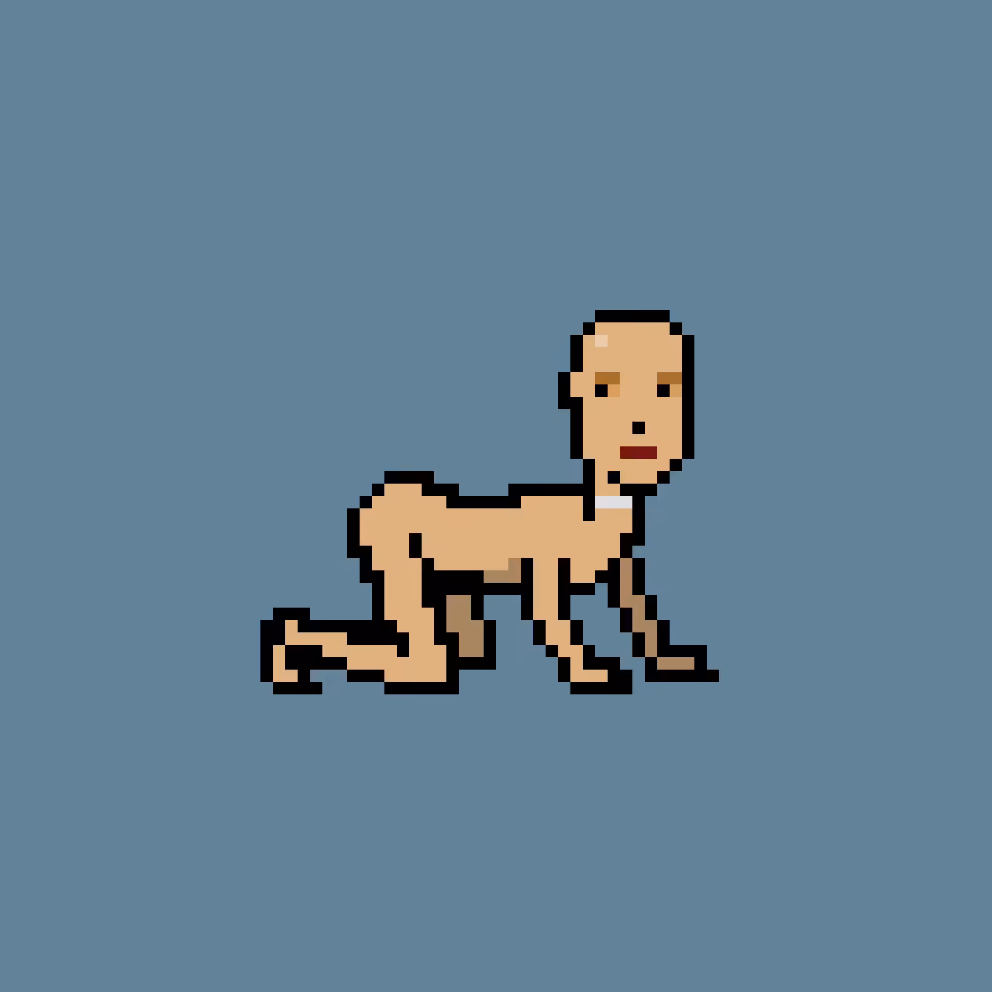 CrawlingPunks: CrawlingPunk #8711