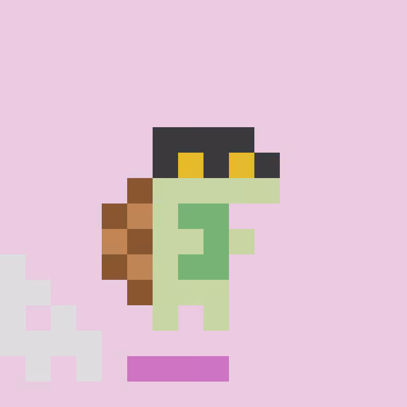 Tiny tortoises. #276