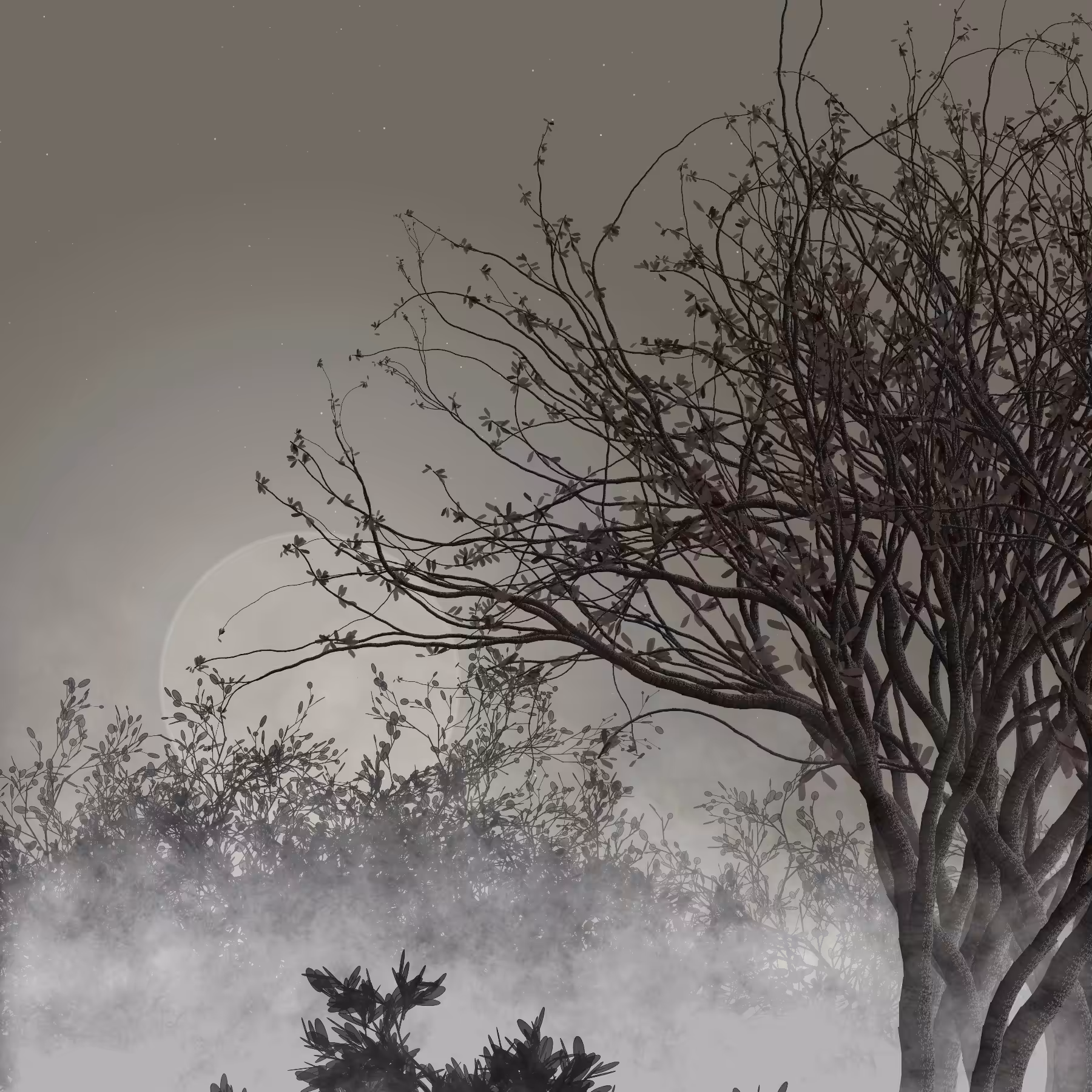 Morning Mist #247