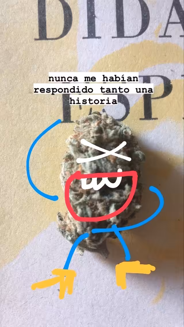 UGLY WEED BOY