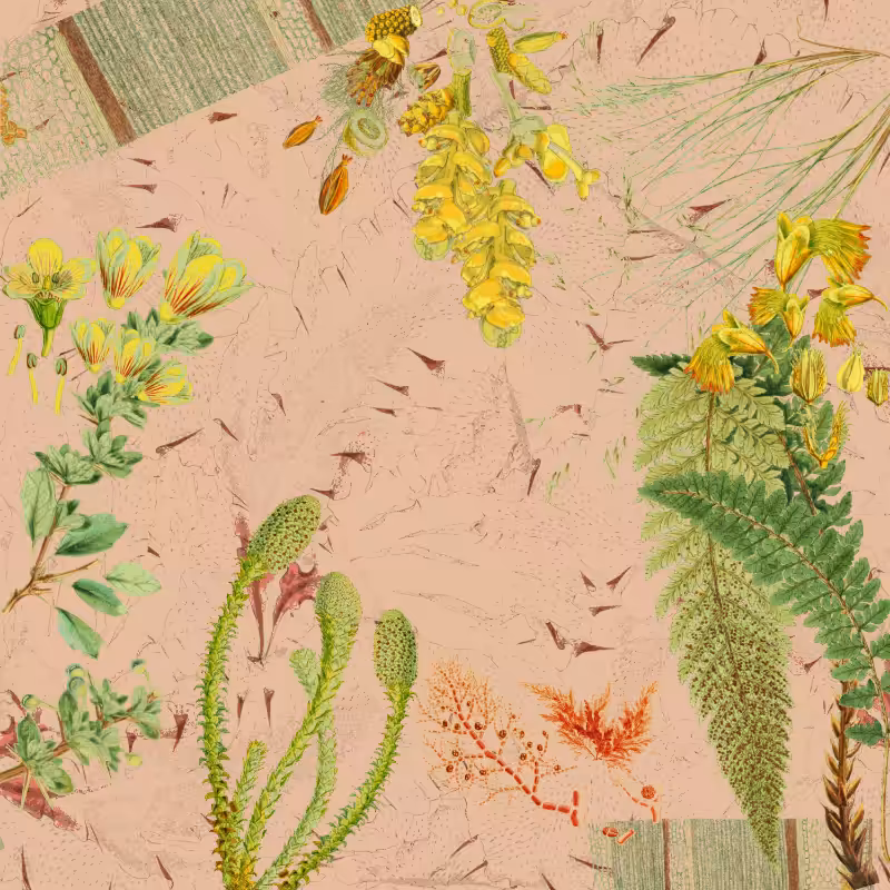 future flora from Antarctica's past #30