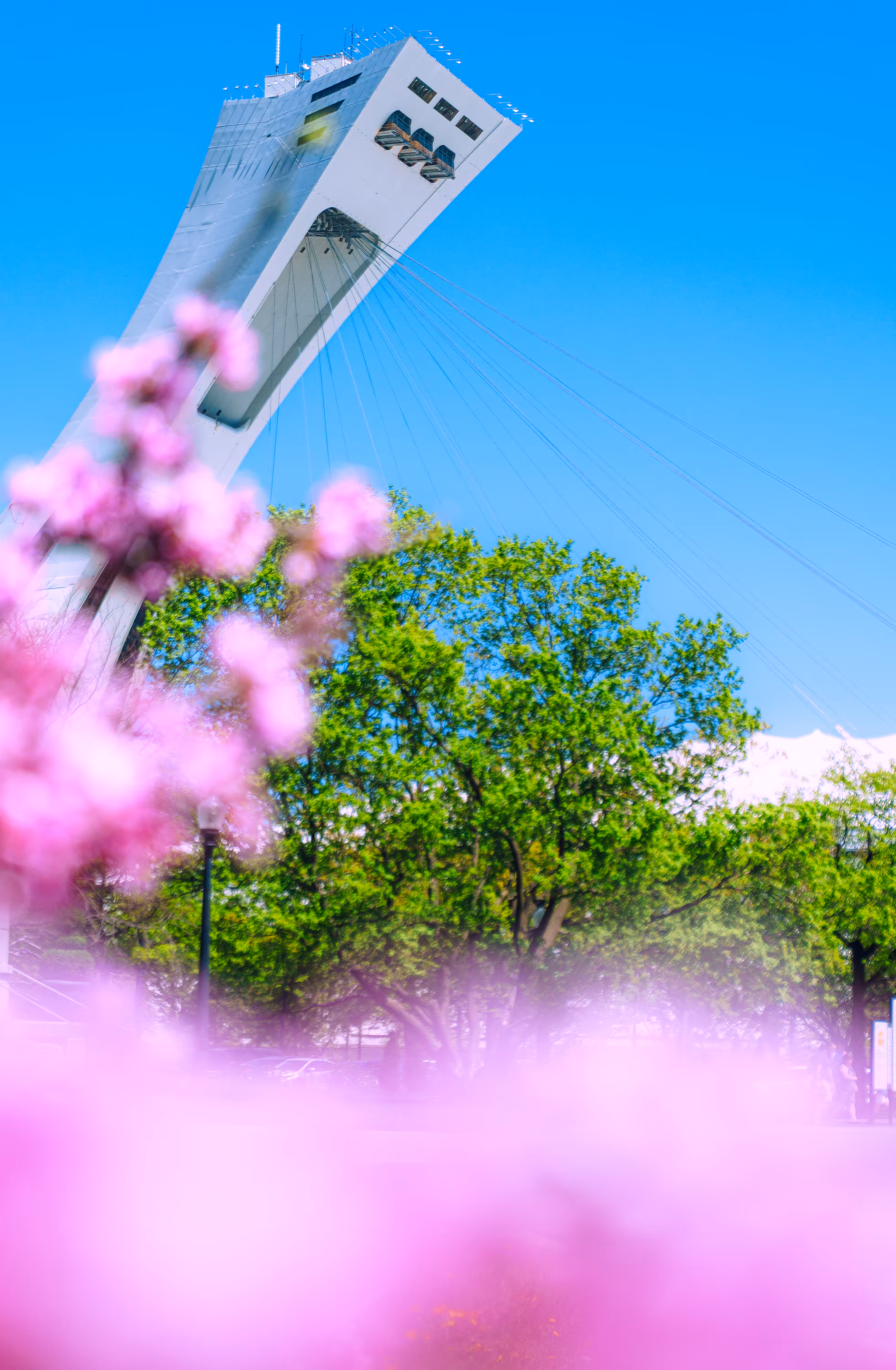 Horizons: Too Much Pink