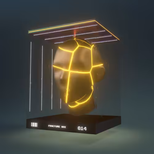 FRACTURE BOI - 014