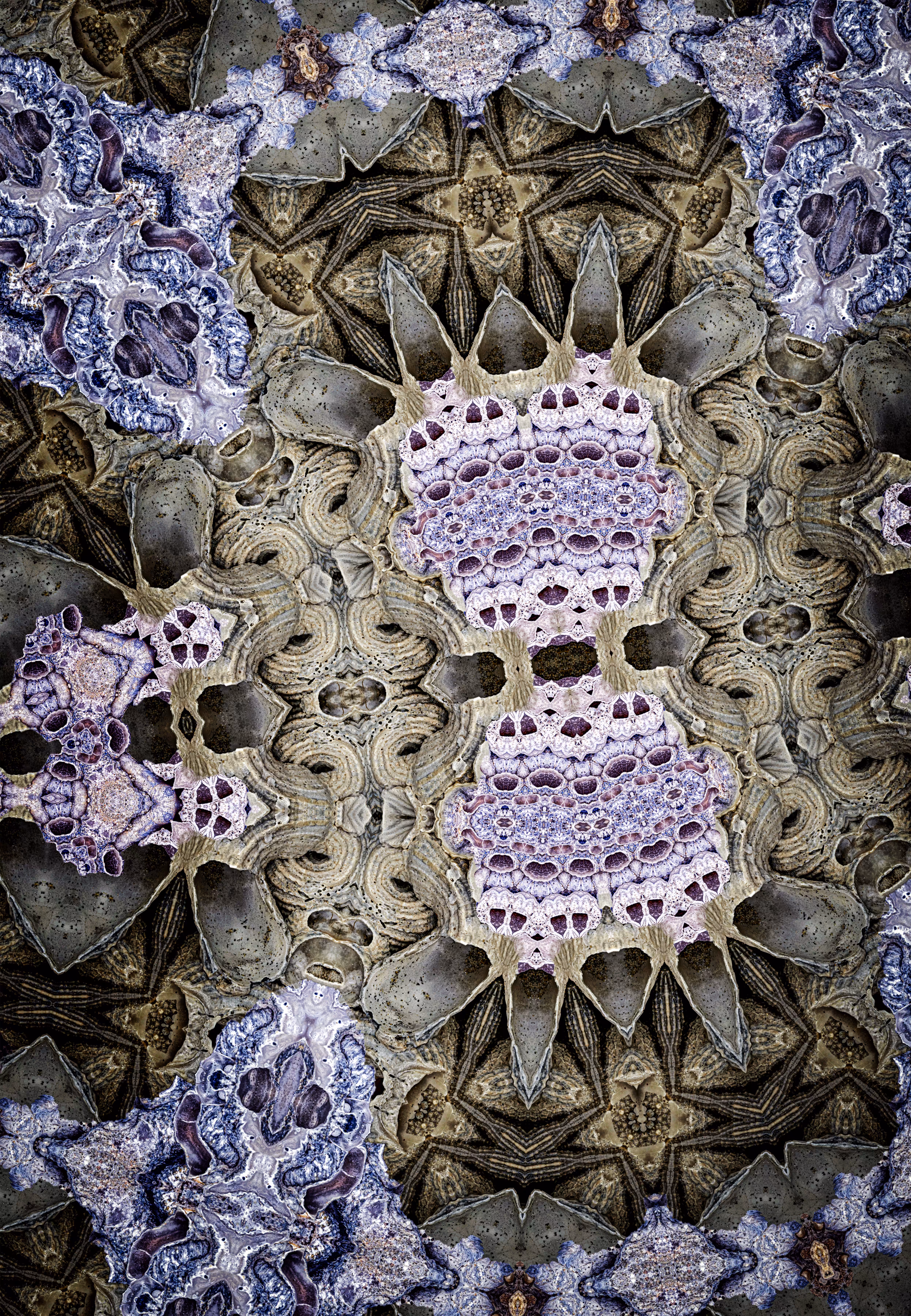 shell_23