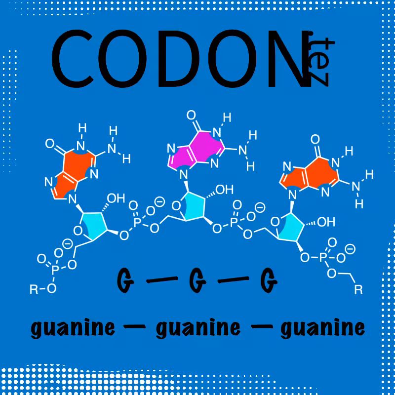 Codon Minter #20