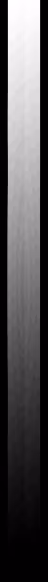 Memetic Entropy Gradient 001