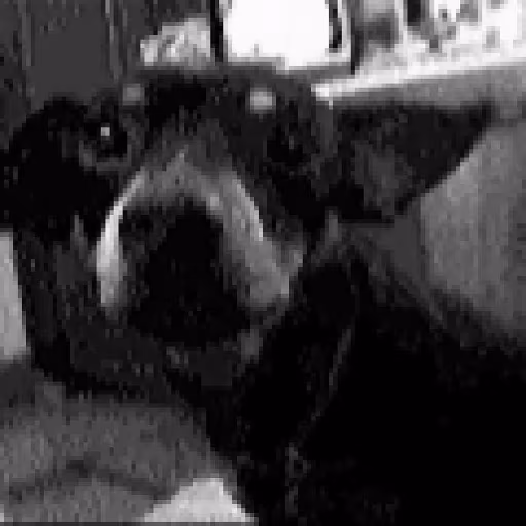 Rocky the Dog #1