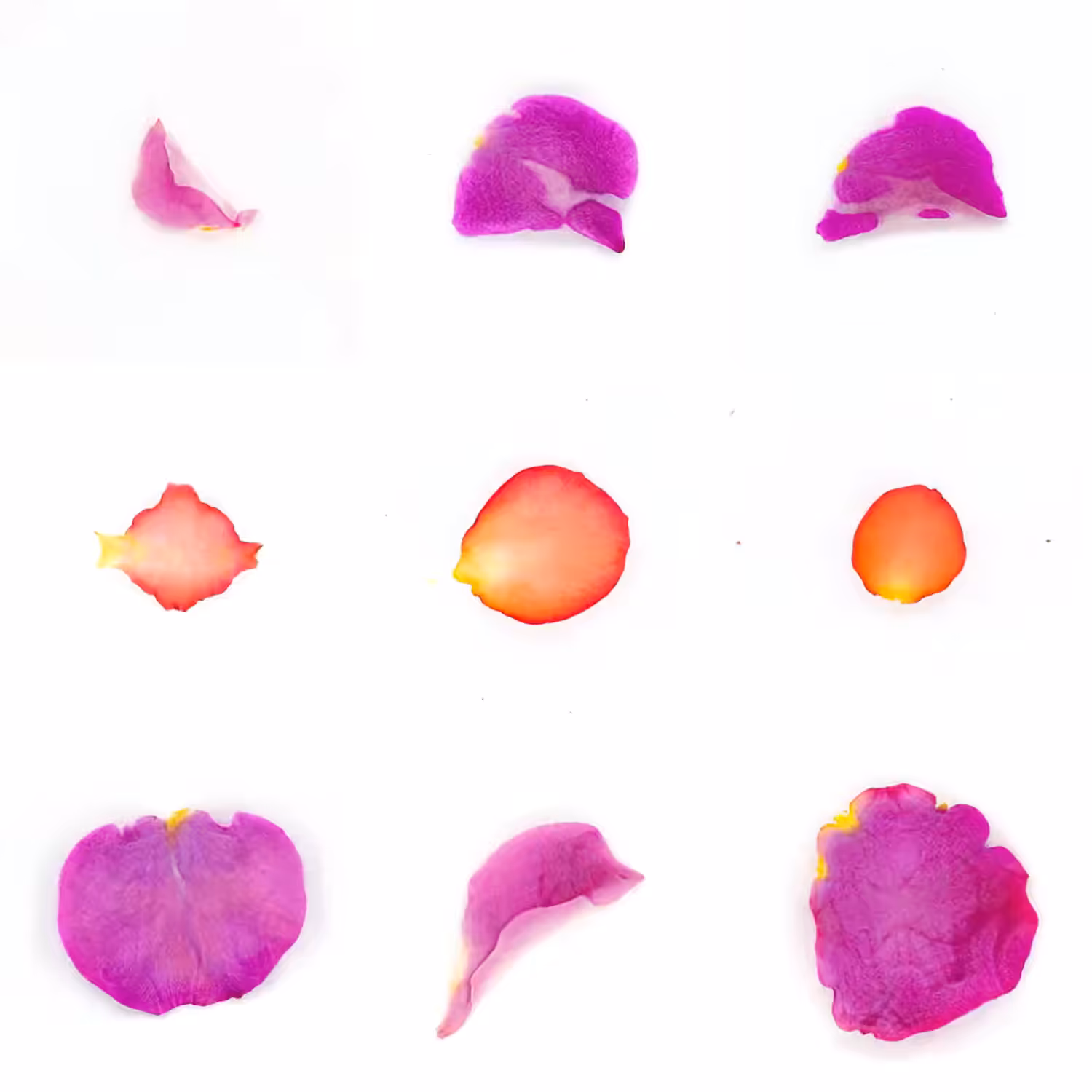 Infinite Petals 3x3#2878